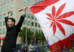 Marijuana super-hero Matt Mernagh.